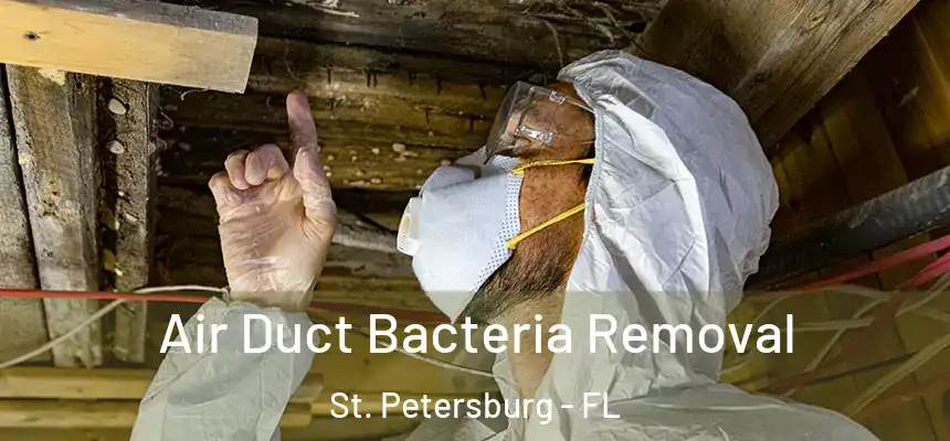 Air Duct Bacteria Removal St. Petersburg - FL