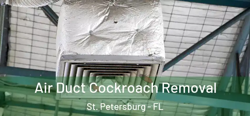  Air Duct Cockroach Removal St. Petersburg - FL