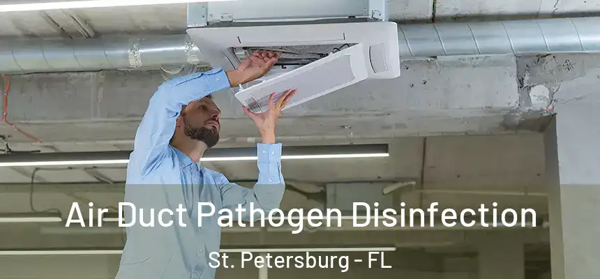 Air Duct Pathogen Disinfection St. Petersburg - FL