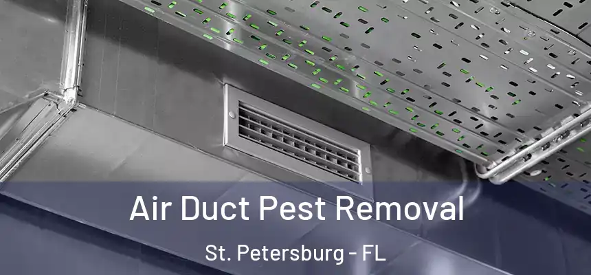 Air Duct Pest Removal St. Petersburg - FL