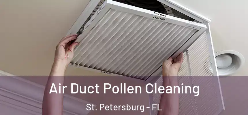 Air Duct Pollen Cleaning St. Petersburg - FL