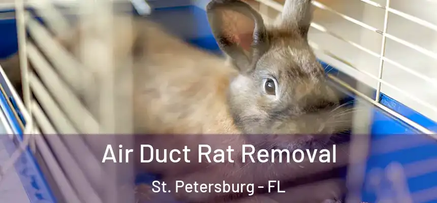 Air Duct Rat Removal St. Petersburg - FL