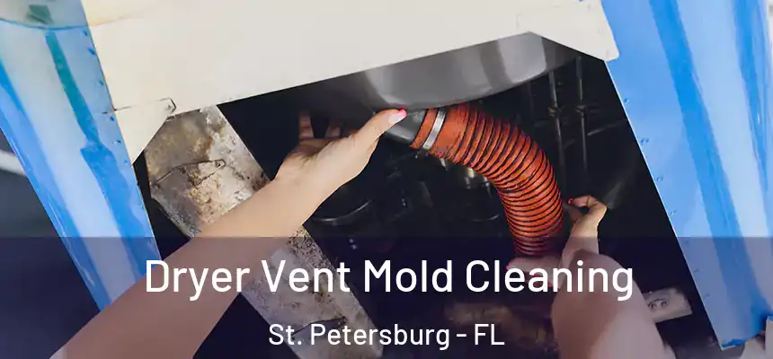 Dryer Vent Mold Cleaning St. Petersburg - FL