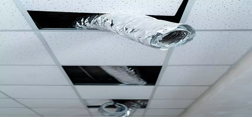 Our Air Duct Pet Hair Removal Services in St. Petersburg, FL