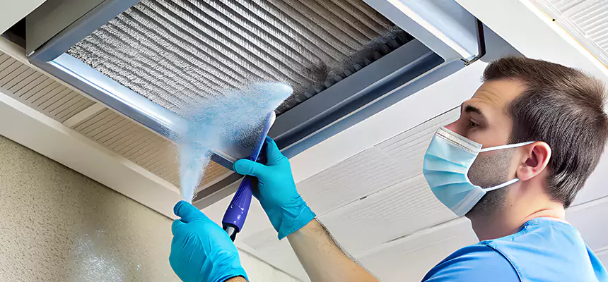Proactive Dryer Vent & Auxiliary Duct Pollen Cleanup in St. Petersburg, FL