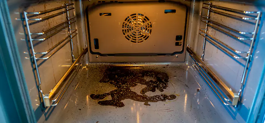 Our Air Purifier Installation Services in St. Petersburg, FL