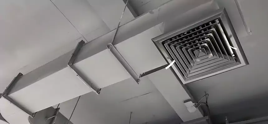 Restorative Allergy Relief Vent Cleaning – Coil, Blower & Housing Detail in St. Petersburg