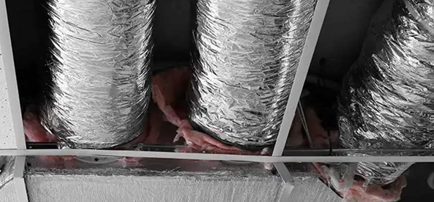 Scalable Commercial Multi‑Unit Dryer Vent Camera Inspection in St. Petersburg, FL