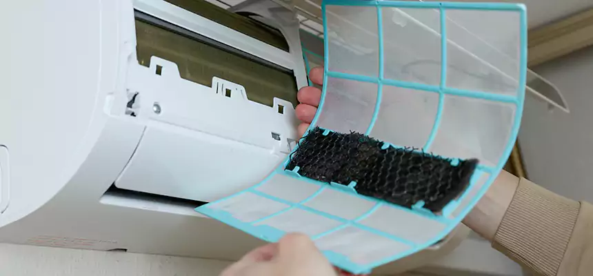 Gentle Ductwork Odor-Control Pet Dander Duct Cleaning in St. Petersburg, FL