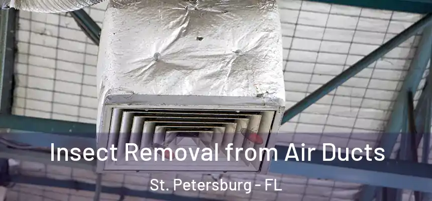 Insect Removal from Air Ducts St. Petersburg - FL