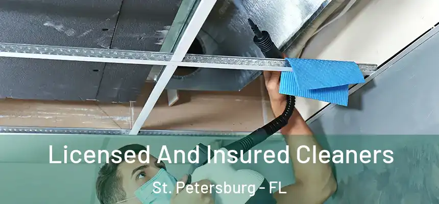 Licensed And Insured Cleaners St. Petersburg - FL