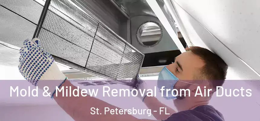 Mold & Mildew Removal from Air Ducts St. Petersburg - FL