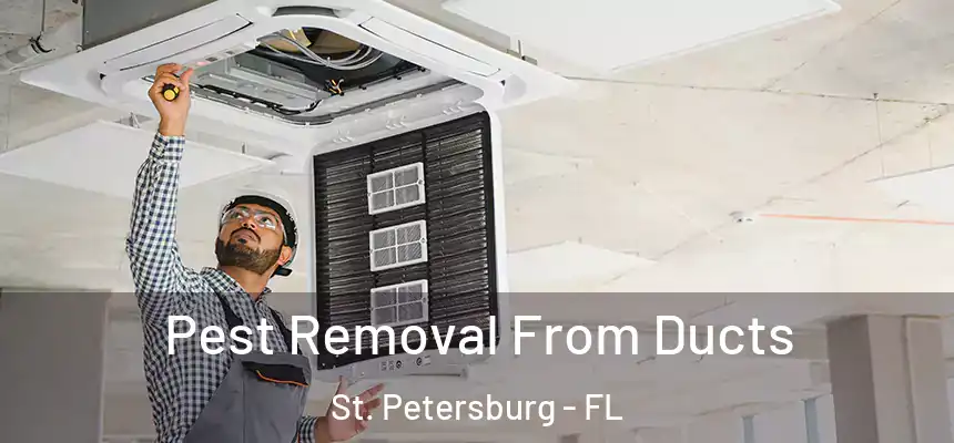 Pest Removal From Ducts St. Petersburg - FL