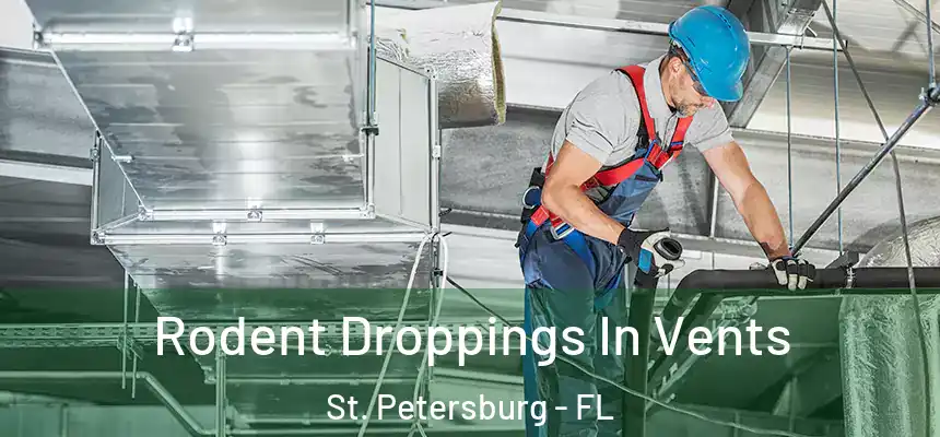 Rodent Droppings In Vents St. Petersburg - FL