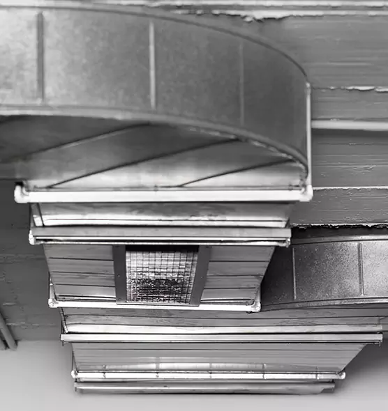 Professional Air Duct Pet Hair Removal in St. Petersburg, FL