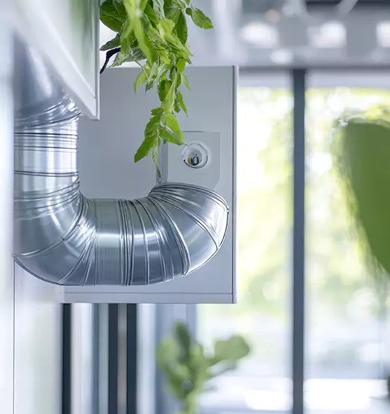 Professional Eco-Friendly Duct Cleaning Services in St. Petersburg, FL