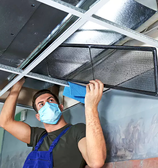 Professional Home Ventilation Cleaning in St. Petersburg, FL