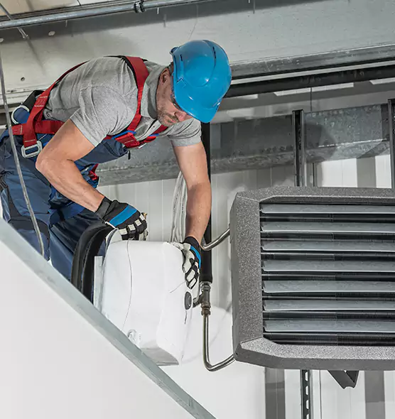 About HVAC Mold Remediation Service in St. Petersburg, FL