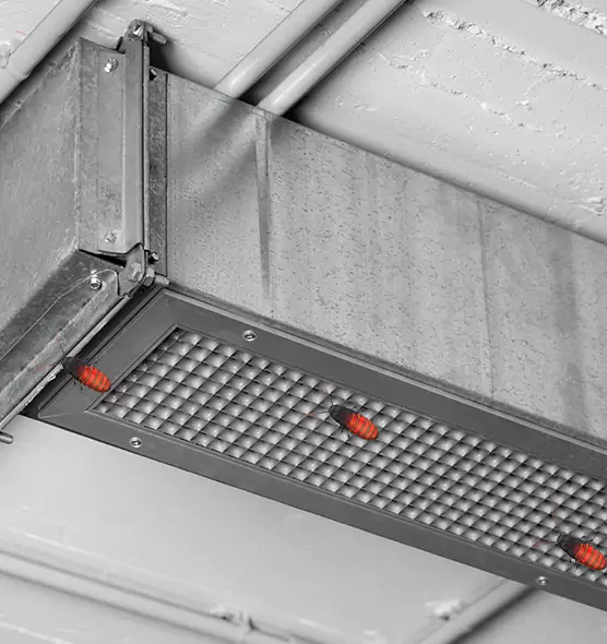 Affordable Insect Removal from Air Ducts in St. Petersburg, FL