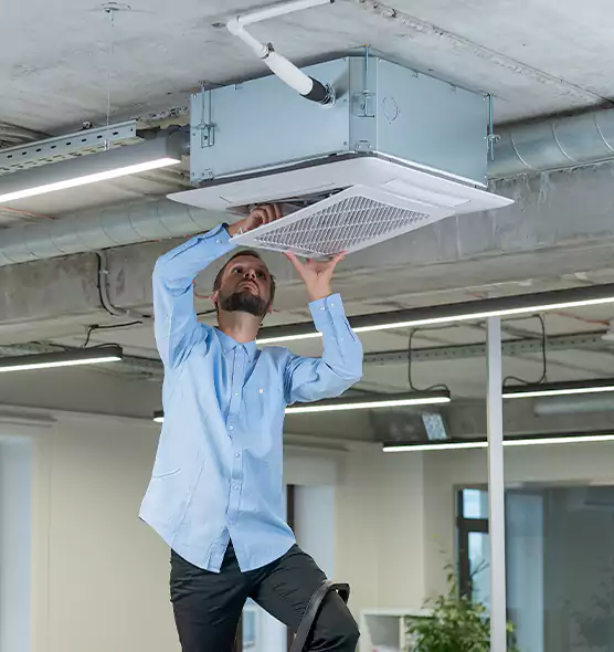 Advanced Rodent Droppings In Vents in St. Petersburg, FL