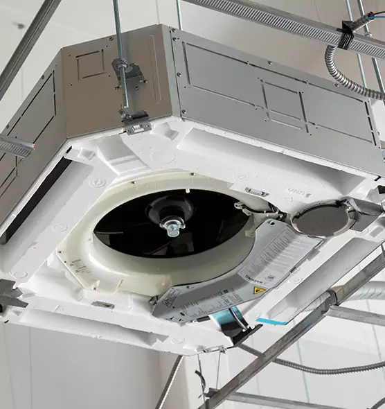 Professional Roof Vent Lint Removal St. Petersburg, FL