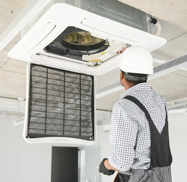 Why Homeowners & Businesses Trust Us in St. Petersburg, FL?