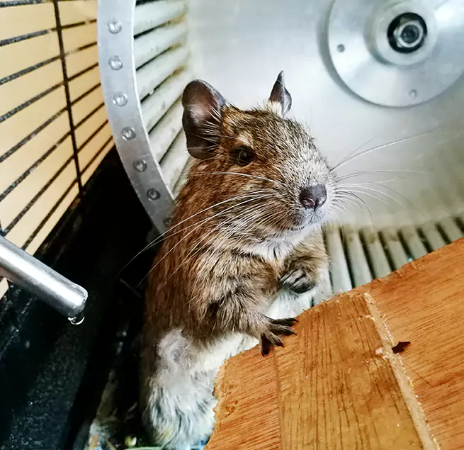 Why Homeowners & Businesses Trust Us St. Petersburg, FL