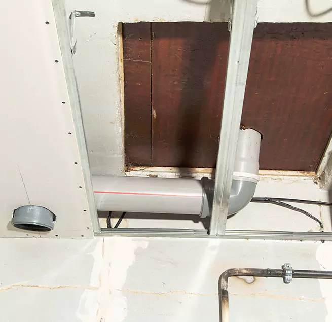 Why Homeowners & Businesses Trust Us in St. Petersburg, FL?