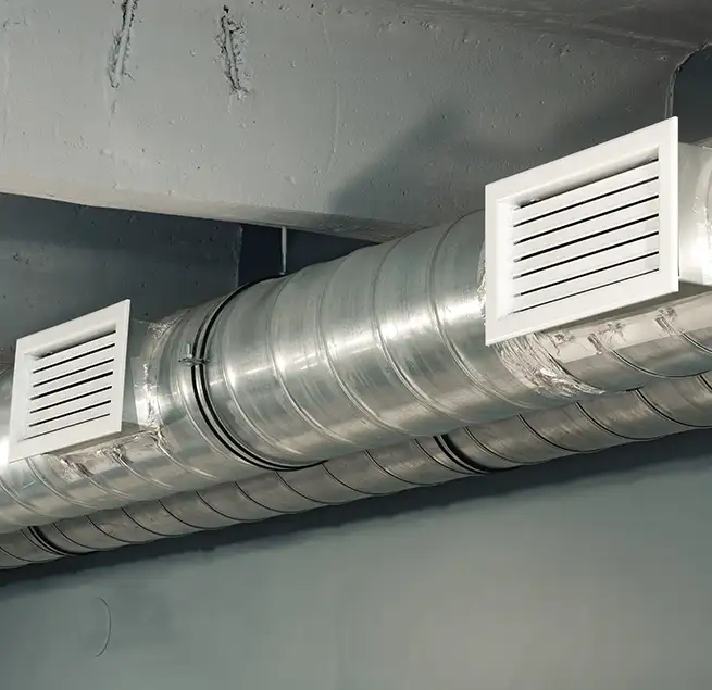 Why Homeowners Businesses Trust Us in St. Petersburg, FL