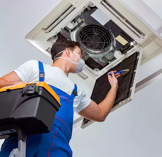 Why Homeowners & Businesses Trust Us in St. Petersburg, FL