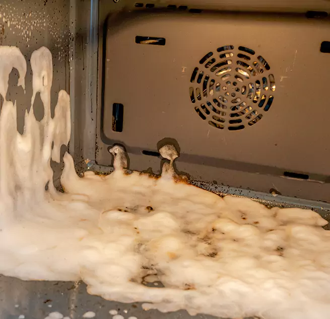 Why Homeowners & Businesses Trust Us in St. Petersburg, FL?