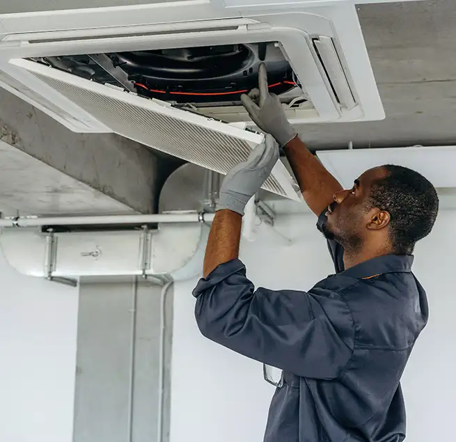 Why Homeowners & Businesses Trust Us in St. Petersburg, FL?