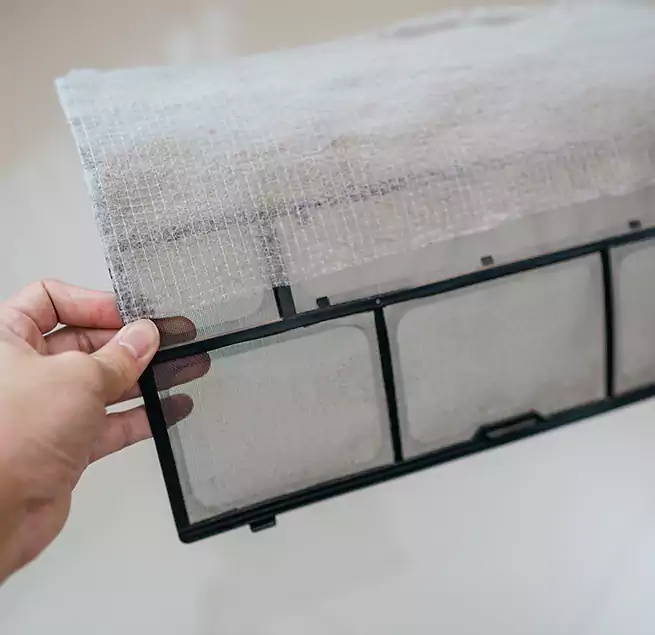 Why Homeowners & Businesses Trust Us in St. Petersburg, FL?