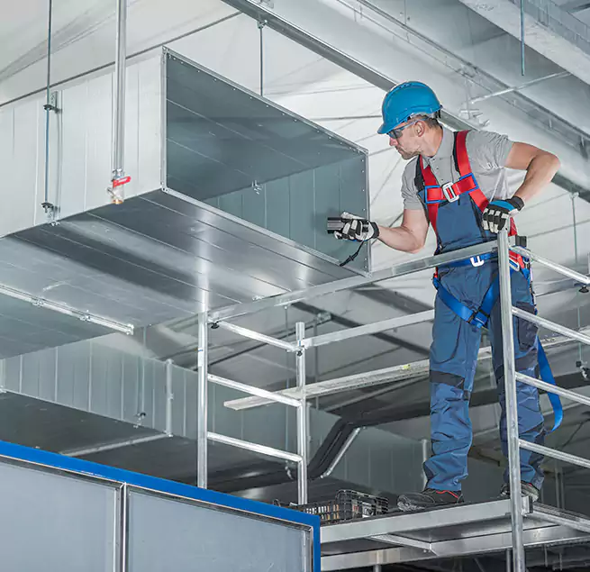 Why Homeowners Businesses Trust Us in St. Petersburg, FL