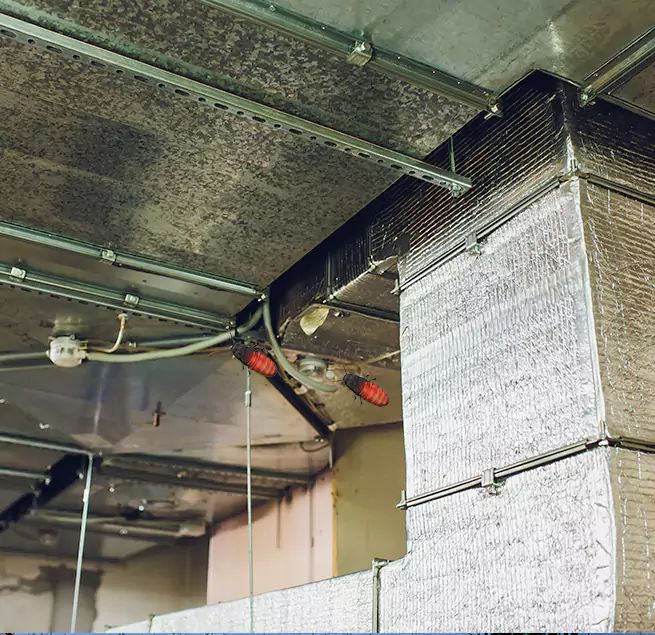 Why Homeowners & Businesses Trust Us St. Petersburg, FL?