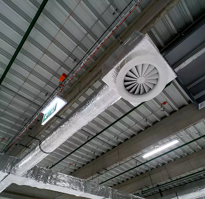 Why Homeowners & Businesses Trust Us in St. Petersburg, FL?