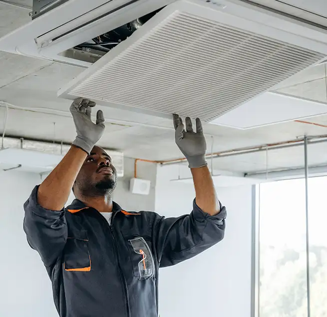 Why Homeowners & Businesses Trust Us in St. Petersburg, FL?