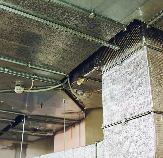 Why Homeowners & Businesses Trust Us in St. Petersburg, FL?