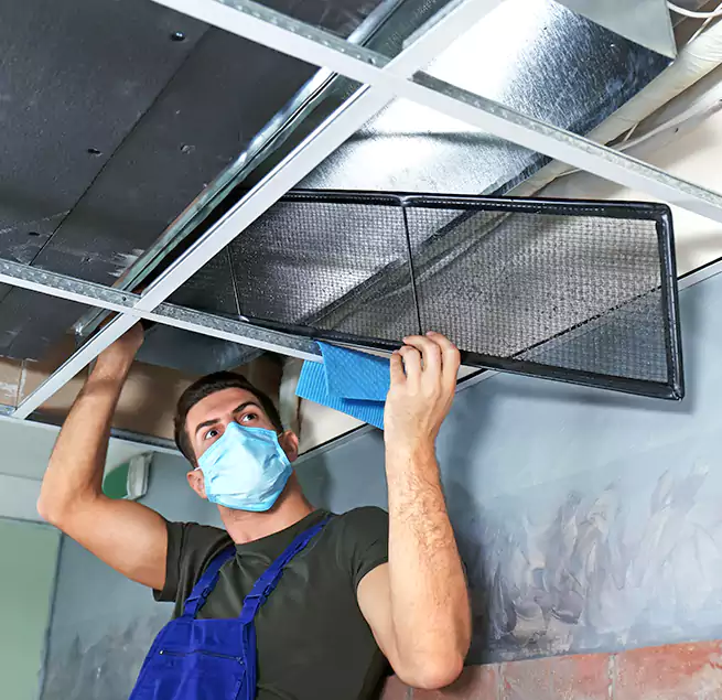 Why Homeowners Businesses Trust Us in St. Petersburg, FL