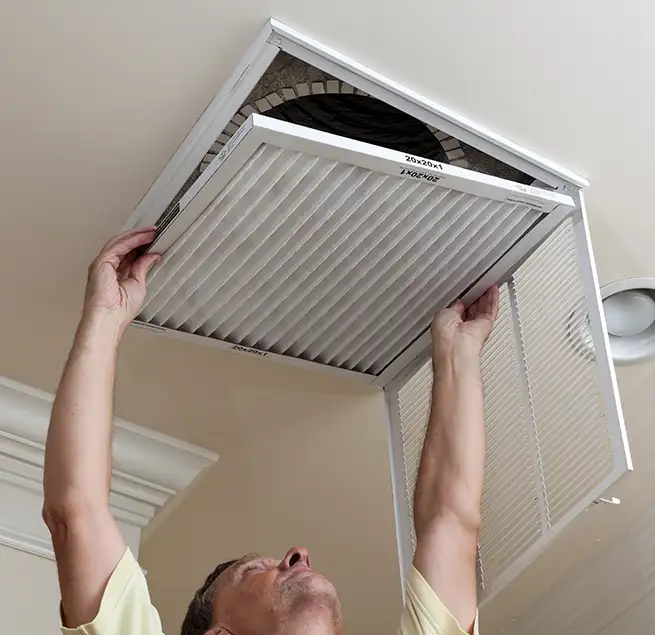 Why Homeowners & Businesses Trust Us in St. Petersburg, FL?